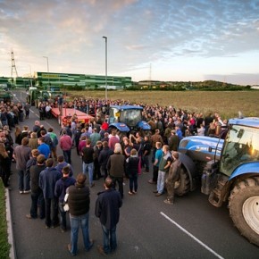 Brytyjscy rolnicy protestują przeciwko sieci supermarketów