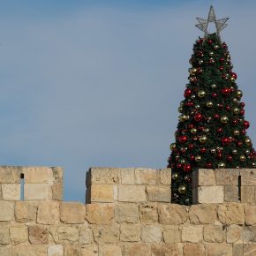 Izraelscy rabini przeciwko bożonarodzeniowym choinkom