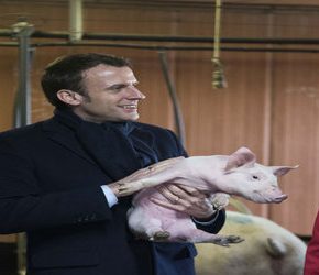 Macron nowym prezydentem Francji