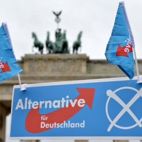 Szkoły nie dla dzieci polityków AfD