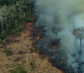 Amazonia ma być dalej niszczona
