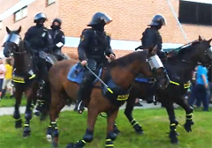 czechy-policja-rozbila-demonstracje-przeciwko-cyganskiej-przestepczosci