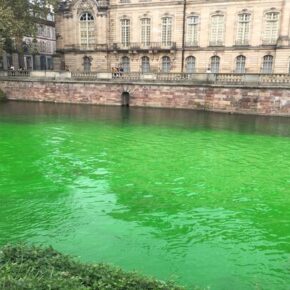 Aktywiści ekologiczni zatruli rzekę we Francji