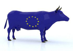 eu-cow