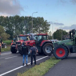 Do protestów rolników w Holandii dołączyli rybacy