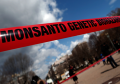 Obama podpisał "Monsanto Protection Act"