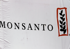 "Monsanto Protection Act" przedłużony o kolejne trzy miesiące