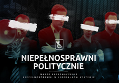 niepelnosprawni-politycznie