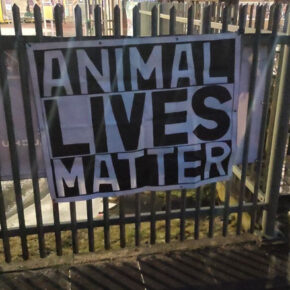 Animal Lives Matter: polscy i białoruscy nacjonaliści dla zwierząt