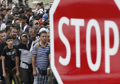 stop-imigranci