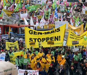 Niemcy: Demonstracja przeciwko GMO i paktowi handlowemu UE-USA